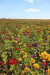 平台射击游戏《闪回2》“剧情”预告片公布